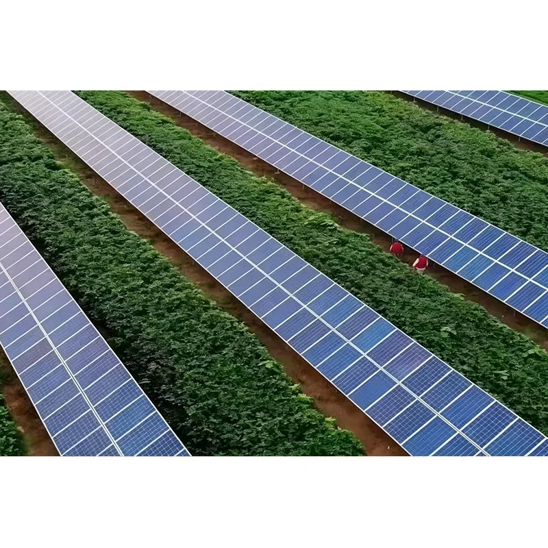 What Makes a Tilted Single-Axis Solar Tracker System Effective for Modern PV Projects?